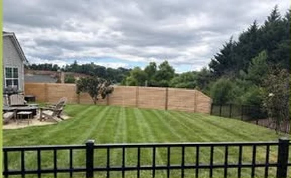 Backyard with parallel mower stripes