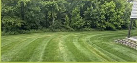 Green lawn beside a wooded property